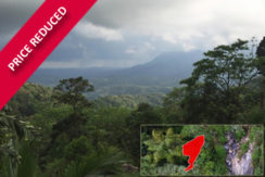 Stunning 18.5 acres of rain forest land with waterfall - Ella