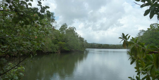 Mangroves, river frontage and views