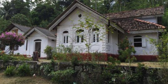 Restoration dream, Antique house