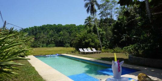 Colonial villa with paddy field views