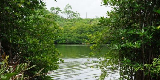 Lake front bare land