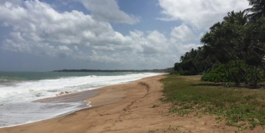 Beach front land in Tangalle