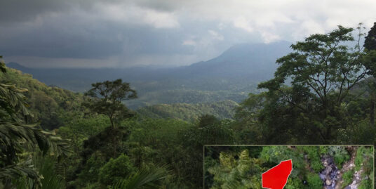 Ella – 18.5 acres of rain forest land with waterfalls