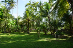 DSC08628