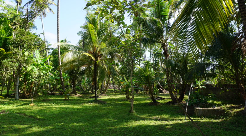 DSC08628