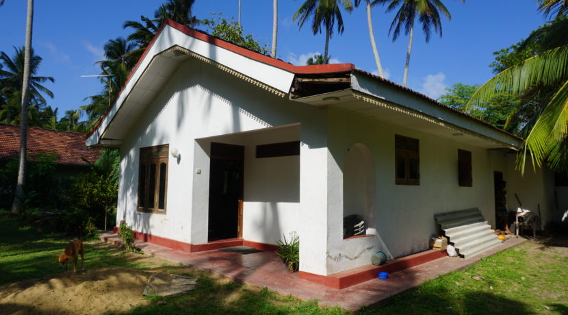 DSC08629