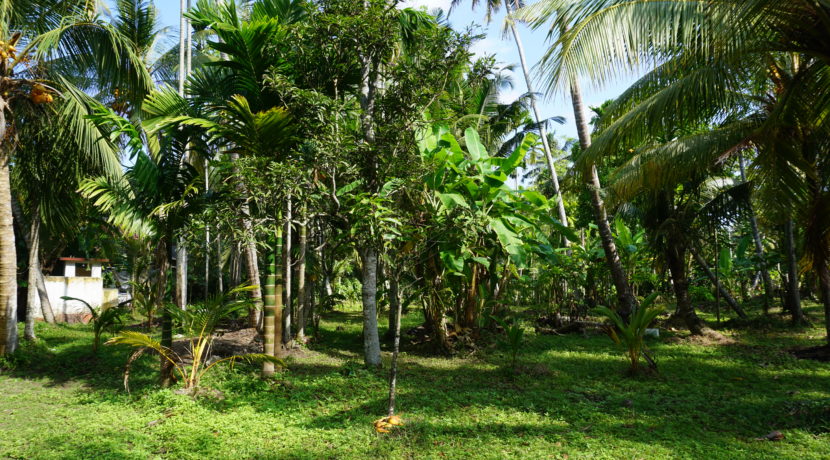 DSC08630