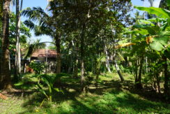 DSC08637