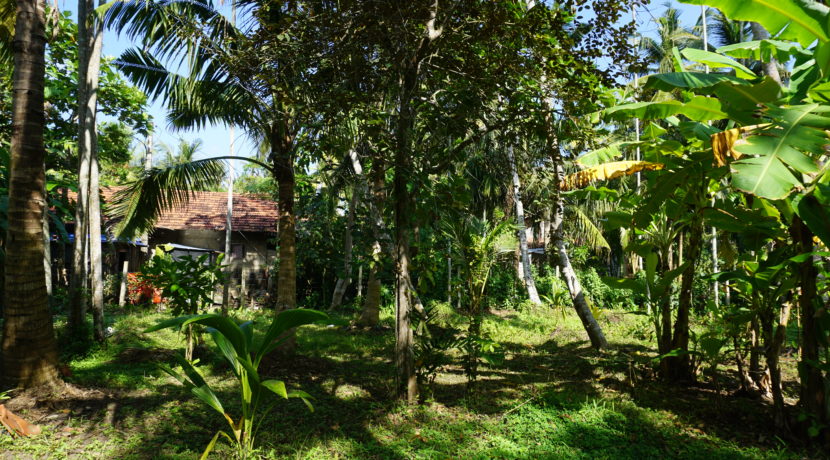 DSC08637