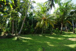 DSC08639