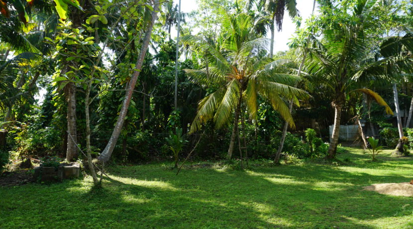DSC08639