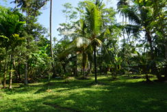 DSC08648