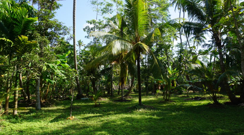 DSC08648