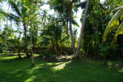 DSC08649