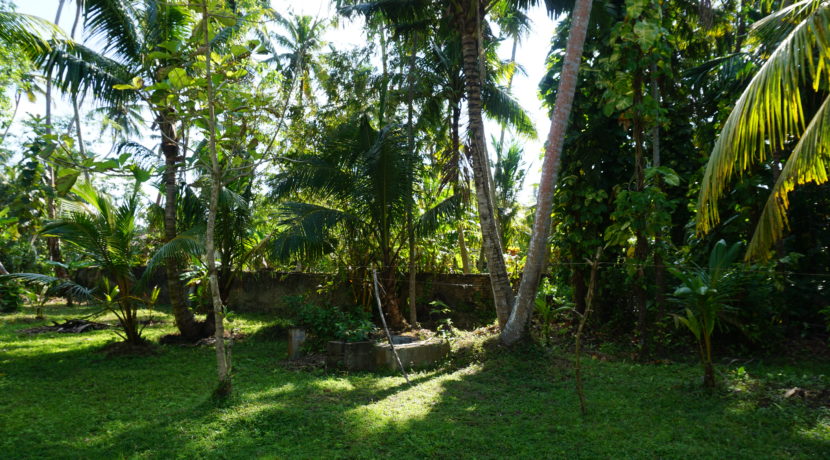 DSC08649