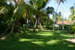DSC08651