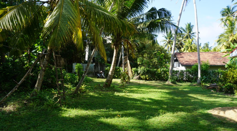 DSC08651