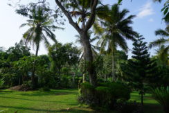 DSC03069