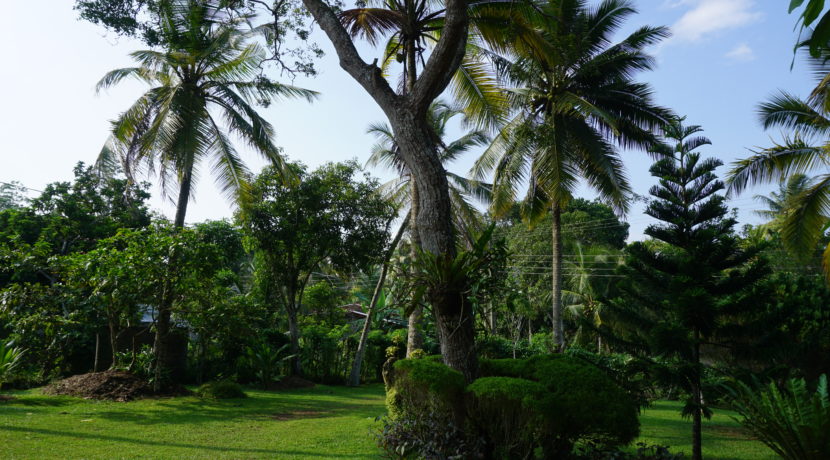 DSC03069