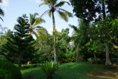 DSC03070