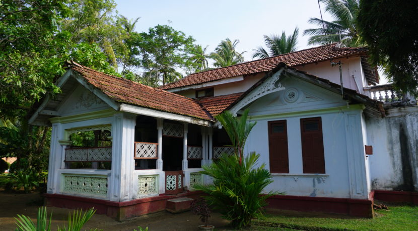 DSC03073