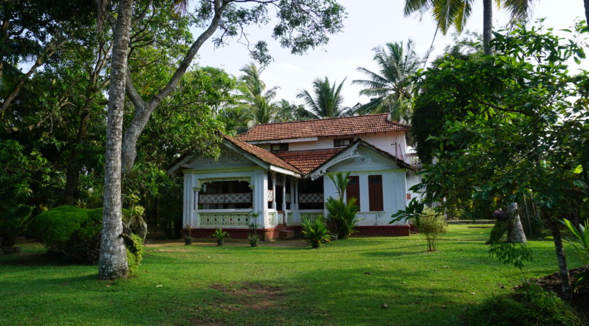 DSC03074