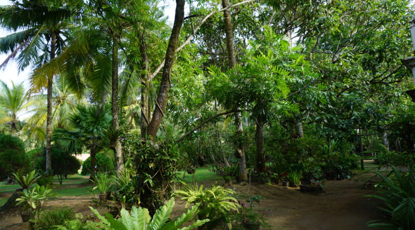 DSC03077