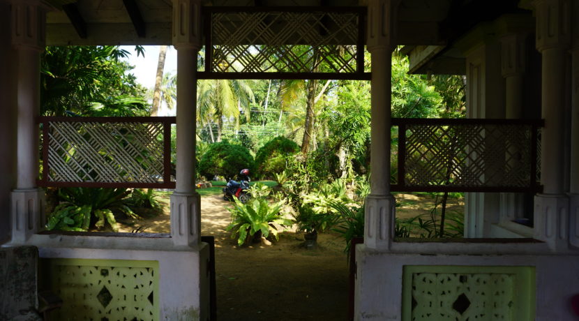 DSC03083