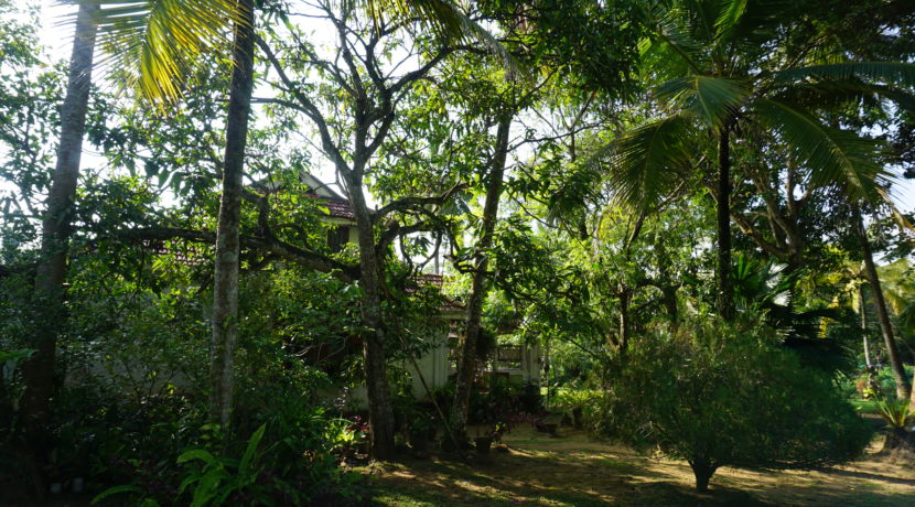 DSC03085