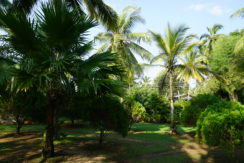 DSC03086