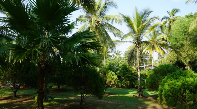 DSC03086
