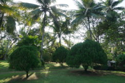 DSC03087