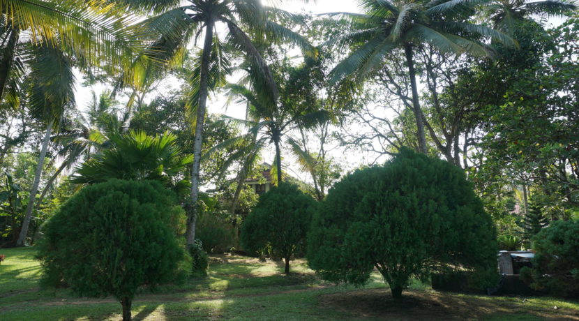 DSC03087