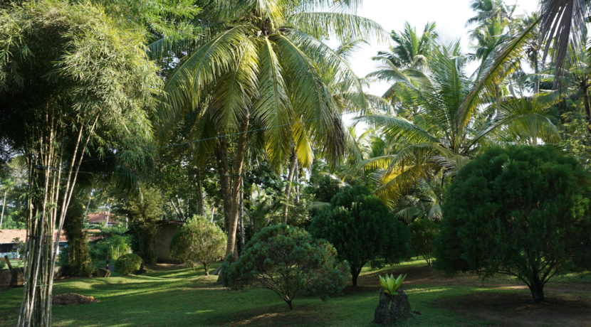 DSC03088