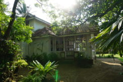 DSC03089