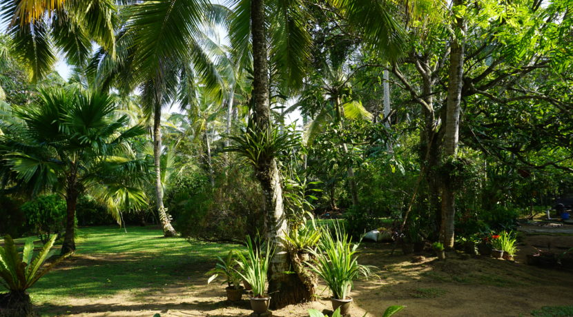 DSC03090
