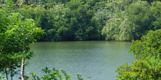 Koggala Lakefront bare land