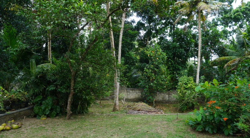 DSC09547