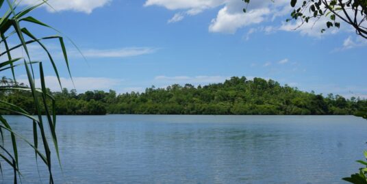 Koggalla lake front with paddy field views