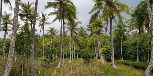 Talpe Mangroves vacant land