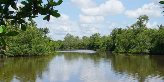 River frontage vacant land