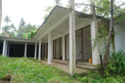 DSC02310