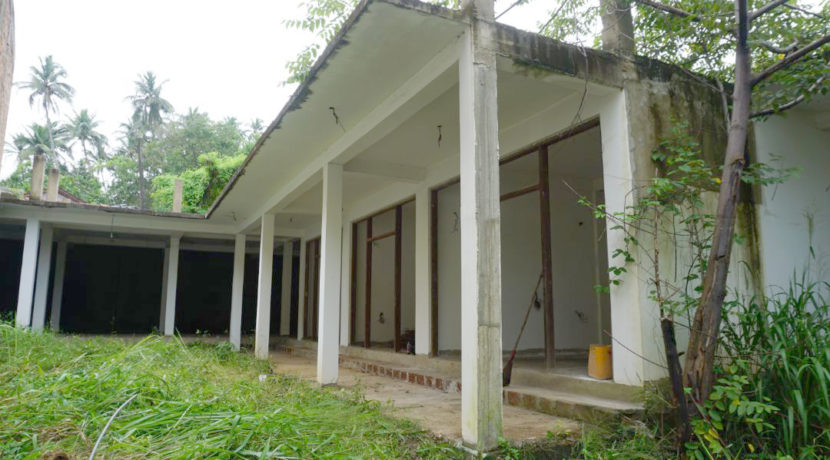 DSC02310