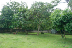 DSC08139