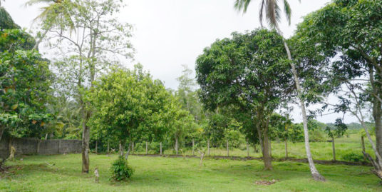 Large paddy view land in Habaraduwa