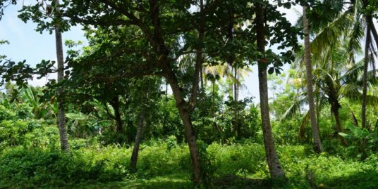 Vacant land for sale in Welhengoda