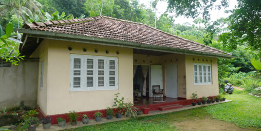 Charming 4-bedroom house with paddy views