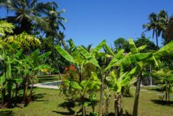 DSC04865