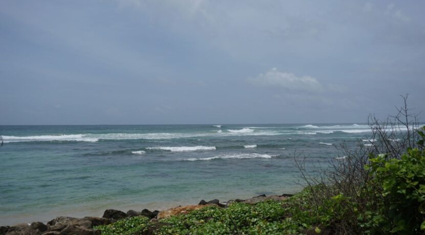 DSC05721