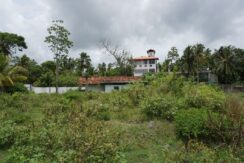 DSC05739